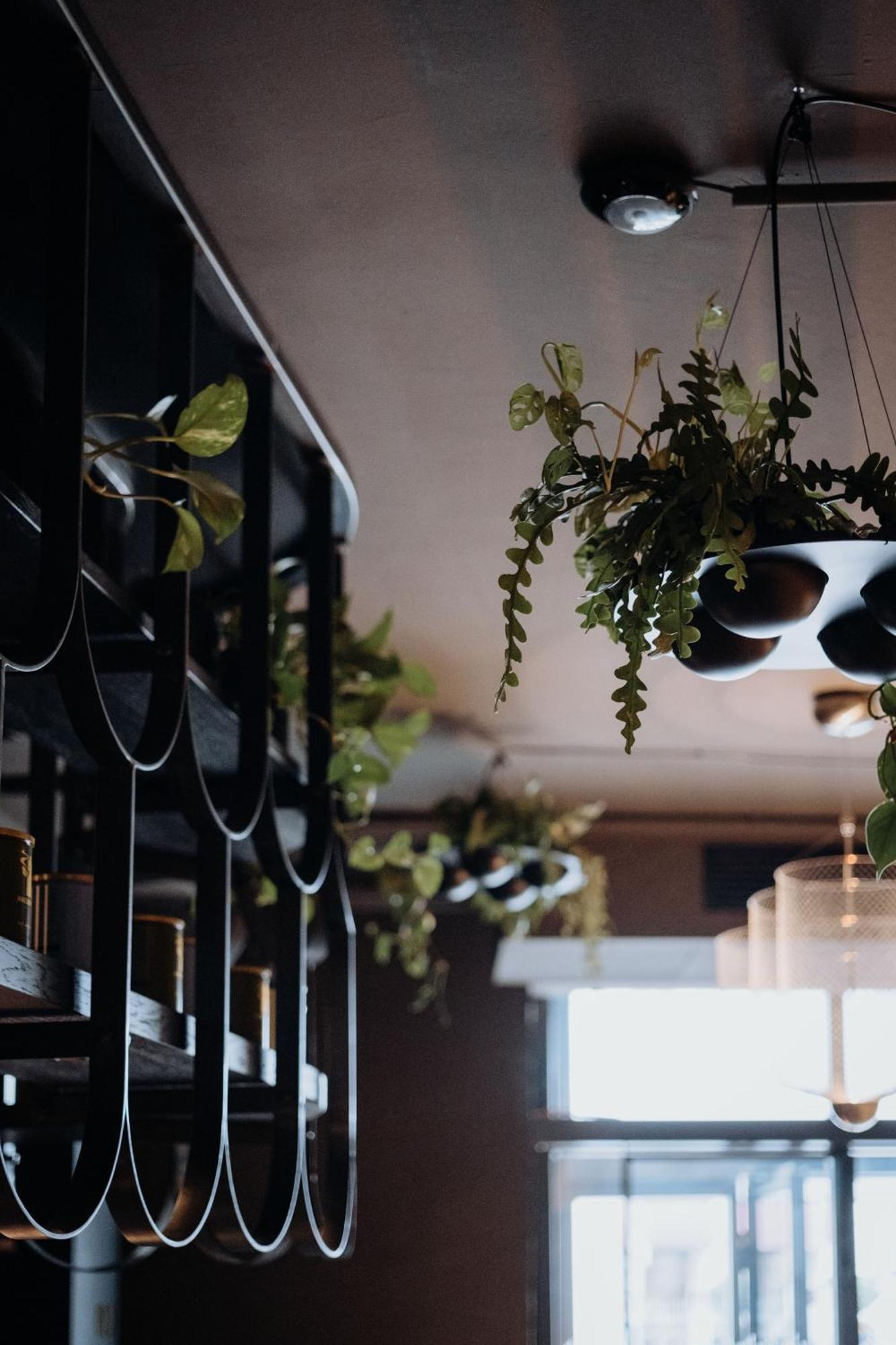 Gentle Hide Designhotel Σάλτσμπουργκ Εξωτερικό φωτογραφία